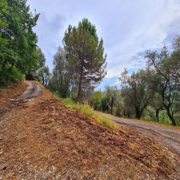 Offres de vente Terrain Nice 06100